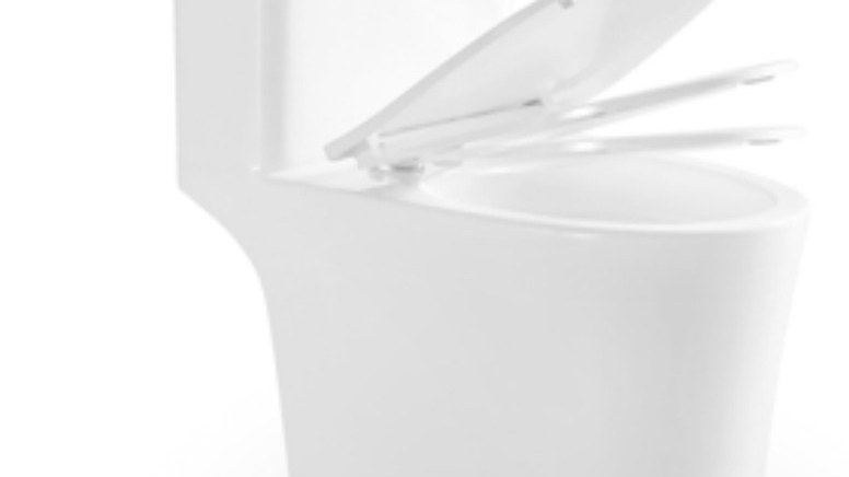 A toilet with its seat and lid raised