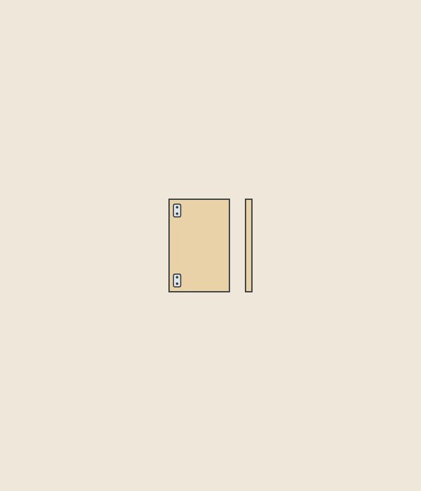 Illustration of a slab door with two hinge fixings beside the same door seen on its thin edge