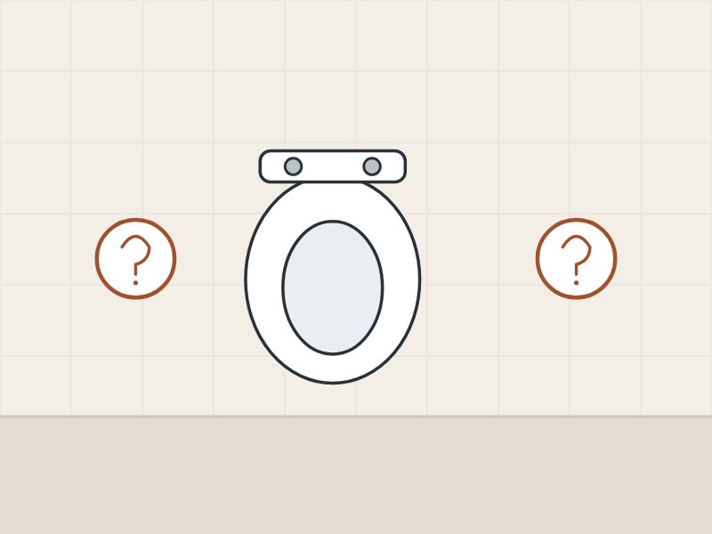 Illustration of a toilet seat between two question marks