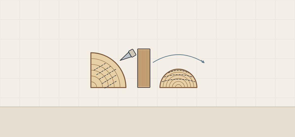 Illustration of a quarter log sliced off the radius with a fine-striped leaf, beside a half log cut along a shallow arc
