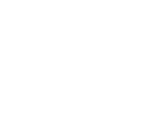 WNS Global