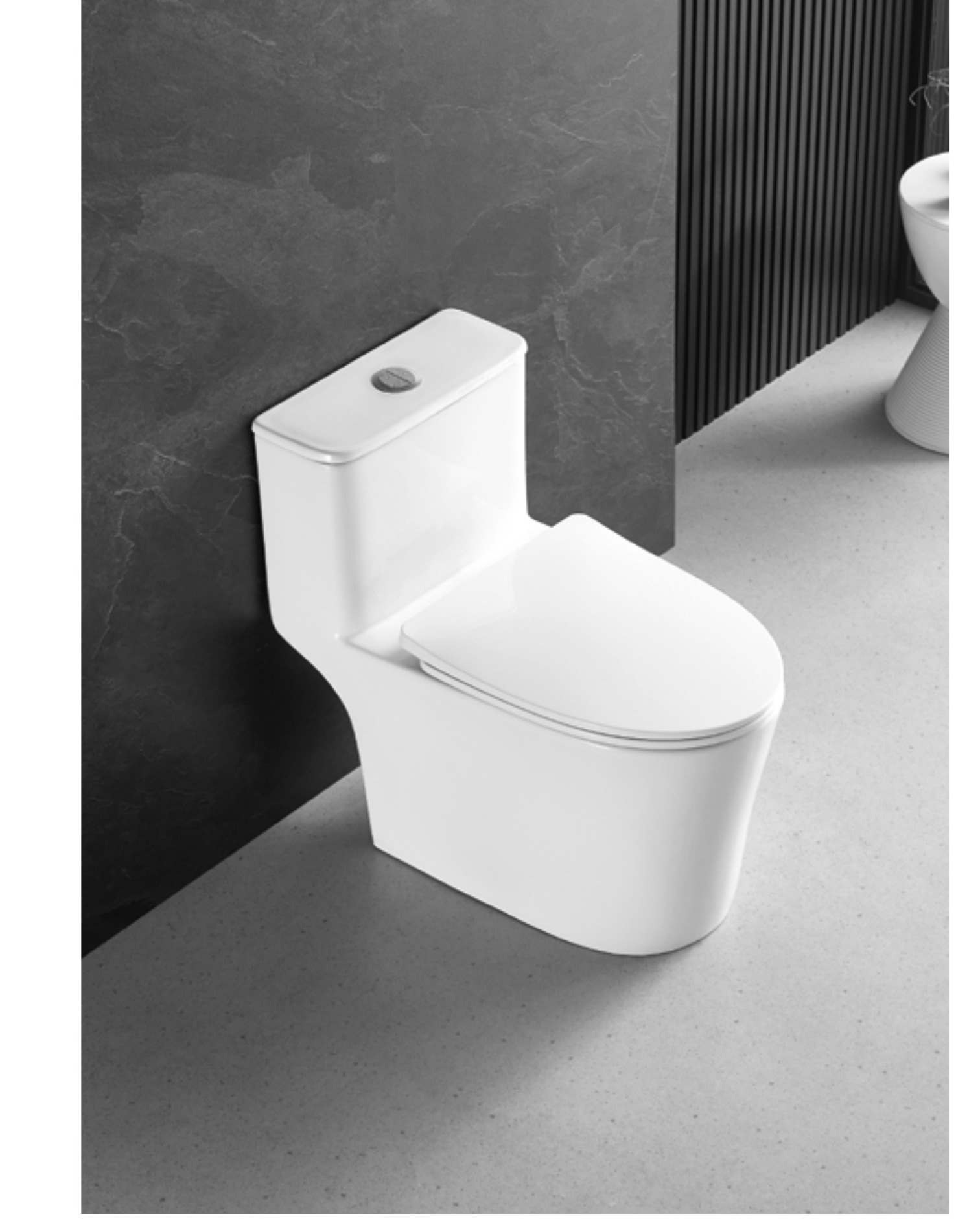 One-piece toilet installed in a finished bathroom