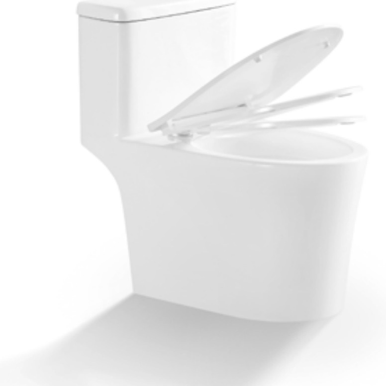 Toilet shown with the soft-close seat raised