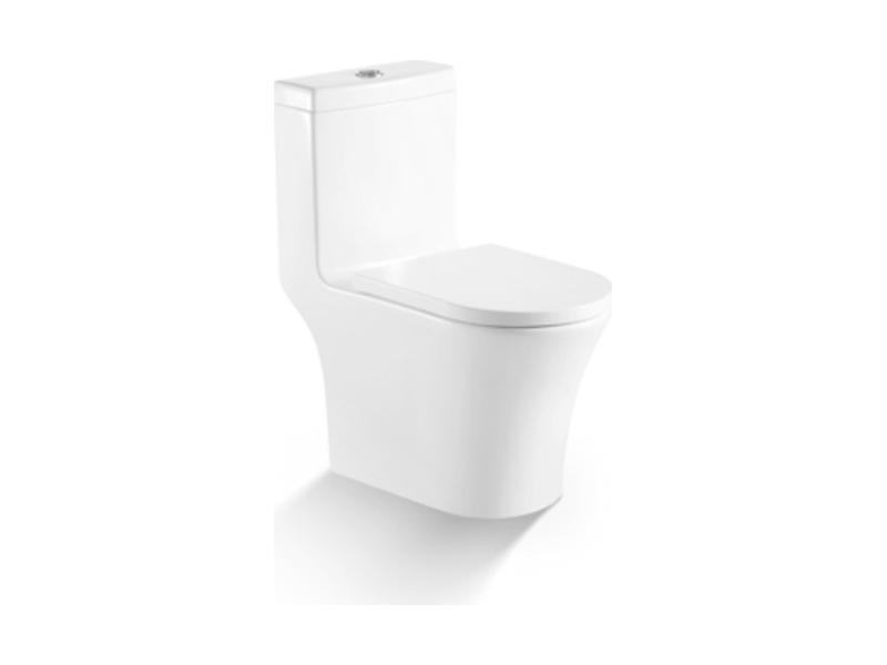 Standard one-piece toilet with a close-coupled cistern