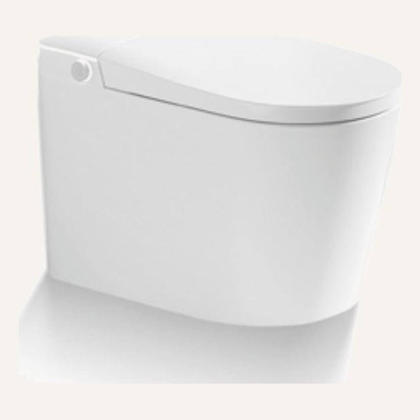 Smart toilet with concealed tank and touch panel